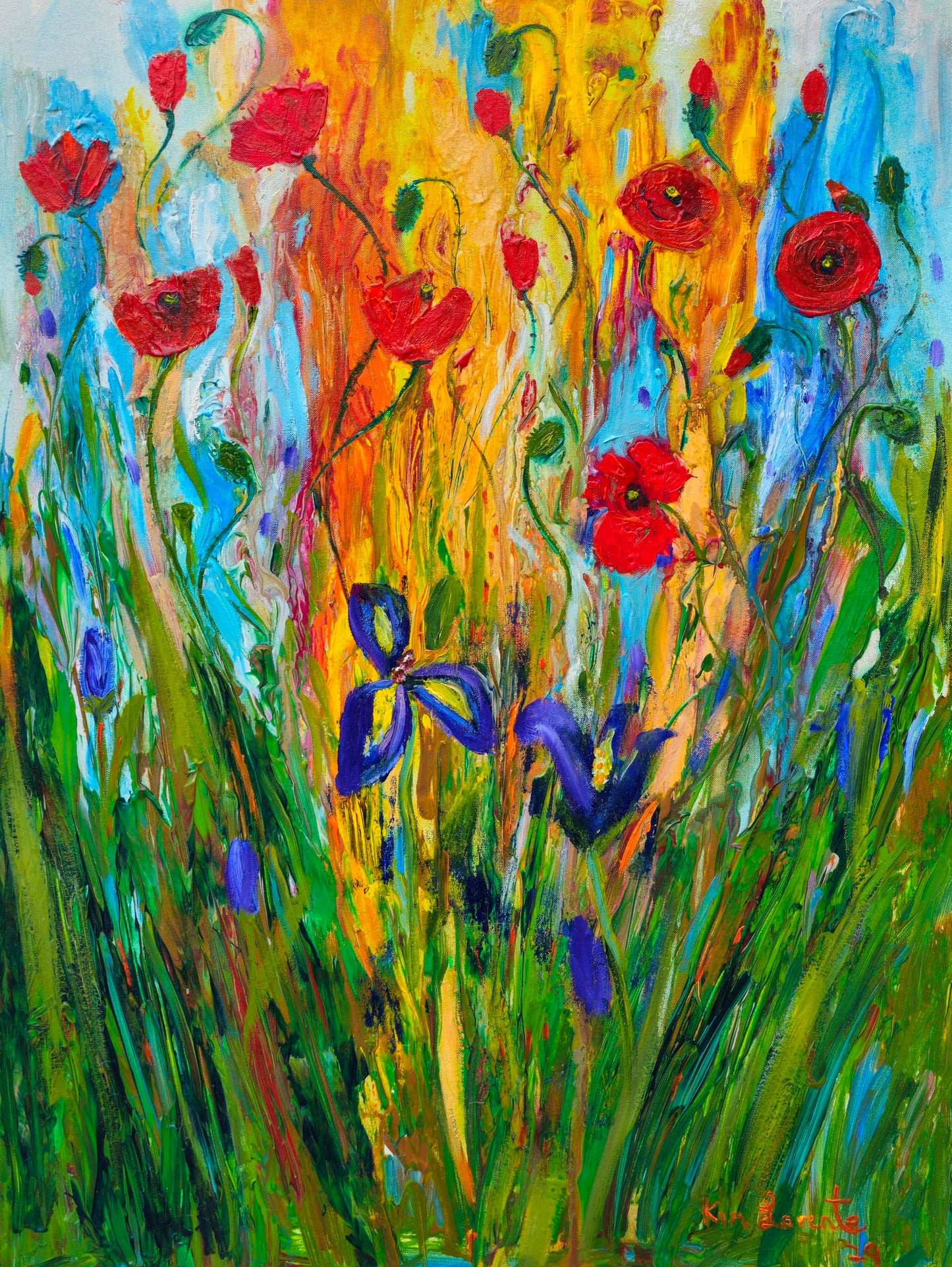 Wind over poppies